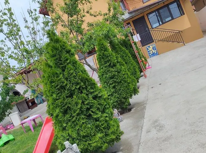 Dalila Vilă Corbu (Constanta)